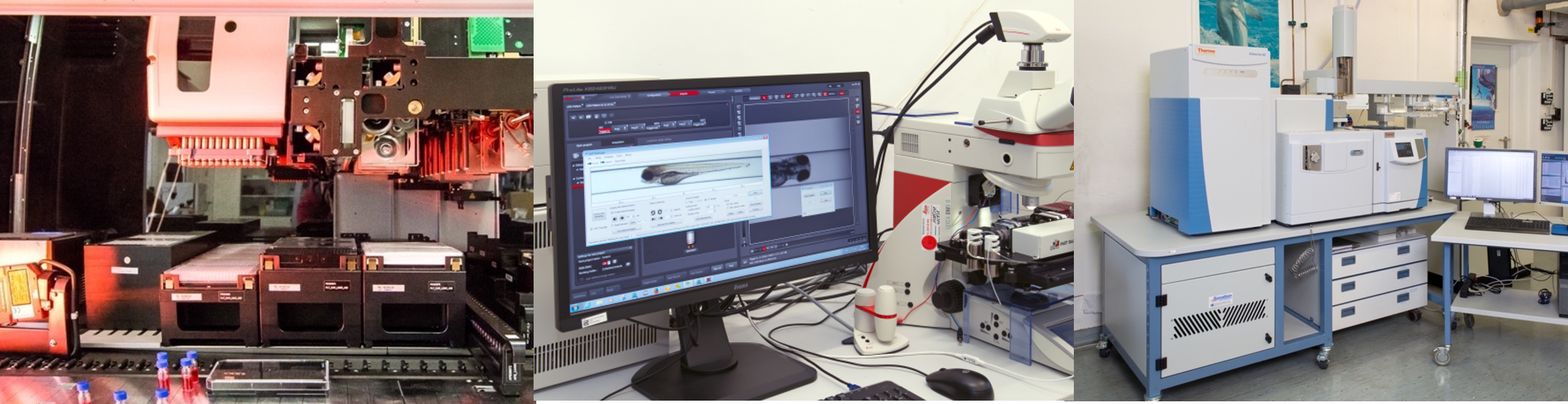 Sample preparation, High-throughput assays, Chemical analysis